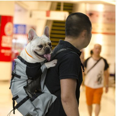 Pet Travel Backpack Ventilated Washable Outdoor Carrier
