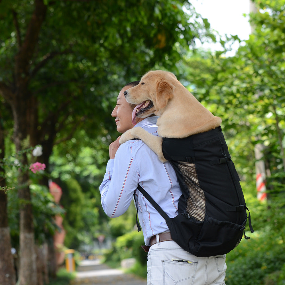 Pet Travel Backpack Ventilated Washable Outdoor Carrier
