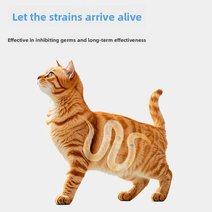 Active Compound Probiotics for Dogs and Cats Digestive Health