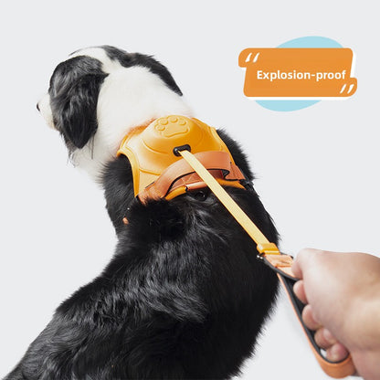 Retractable Dog Leash Vest Harness