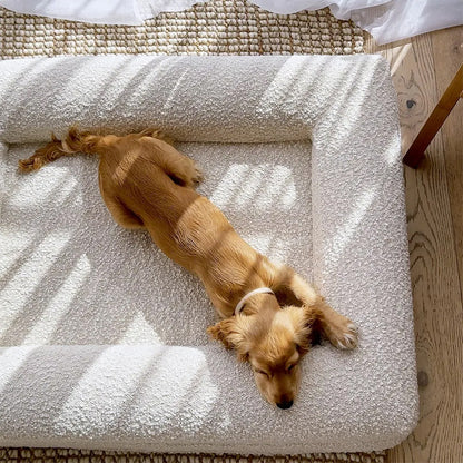 Memory Foam Waterproof Dog Bed
