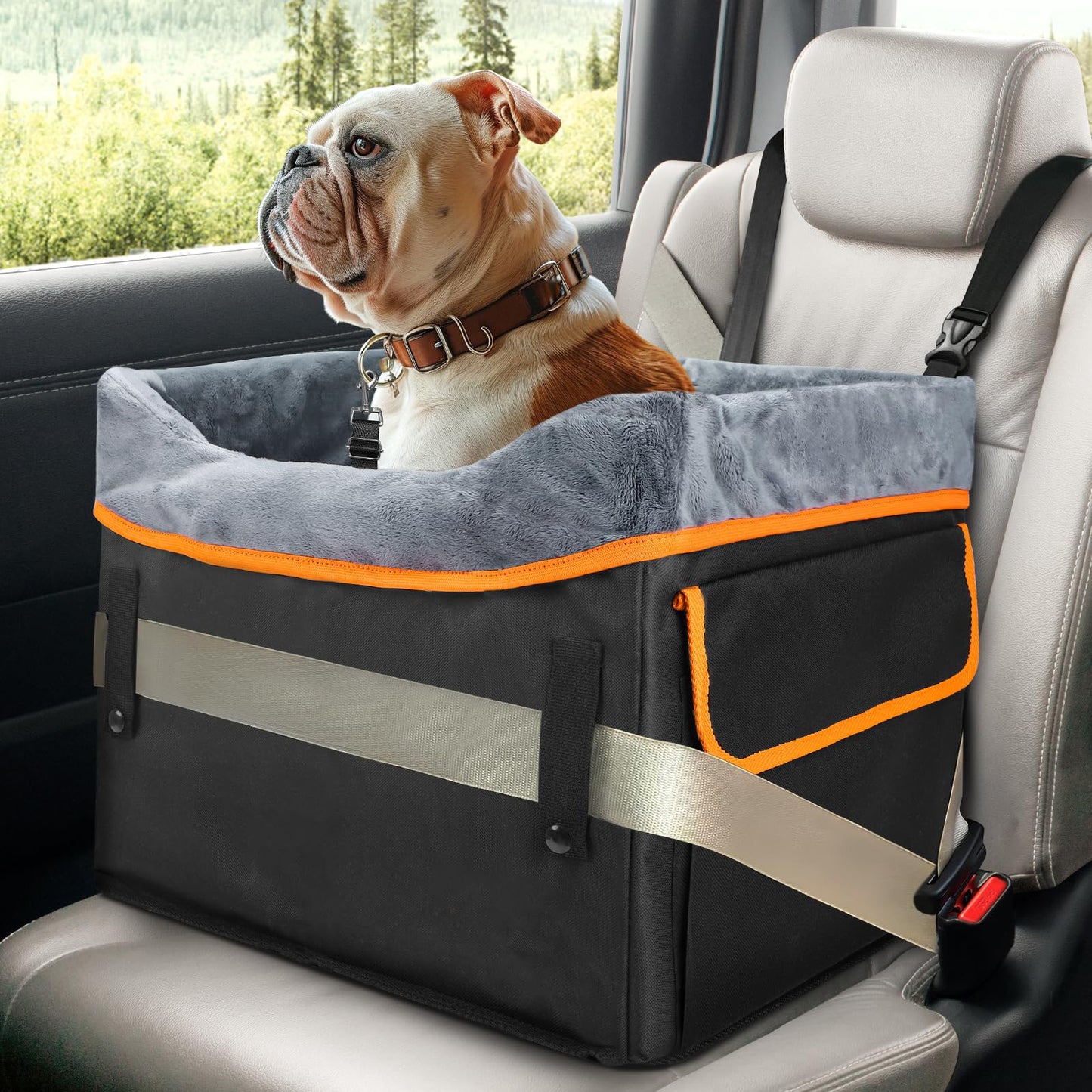 Adjustable Dog Car Booster Seat