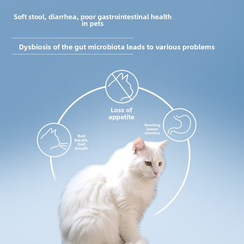 Active Compound Probiotics for Dogs and Cats Digestive Health