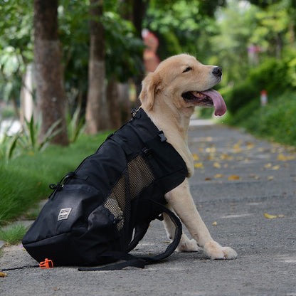 Pet Travel Backpack Ventilated Washable Outdoor Carrier